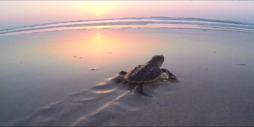 尊龙凯时【首页官网】人生就是博!