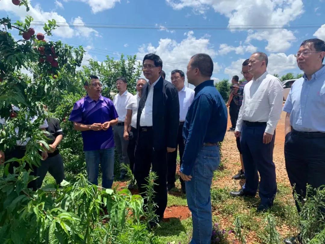 尊龙凯时【首页官网】人生就是博!