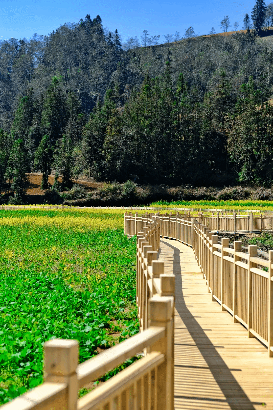 尊龙凯时【首页官网】人生就是博!