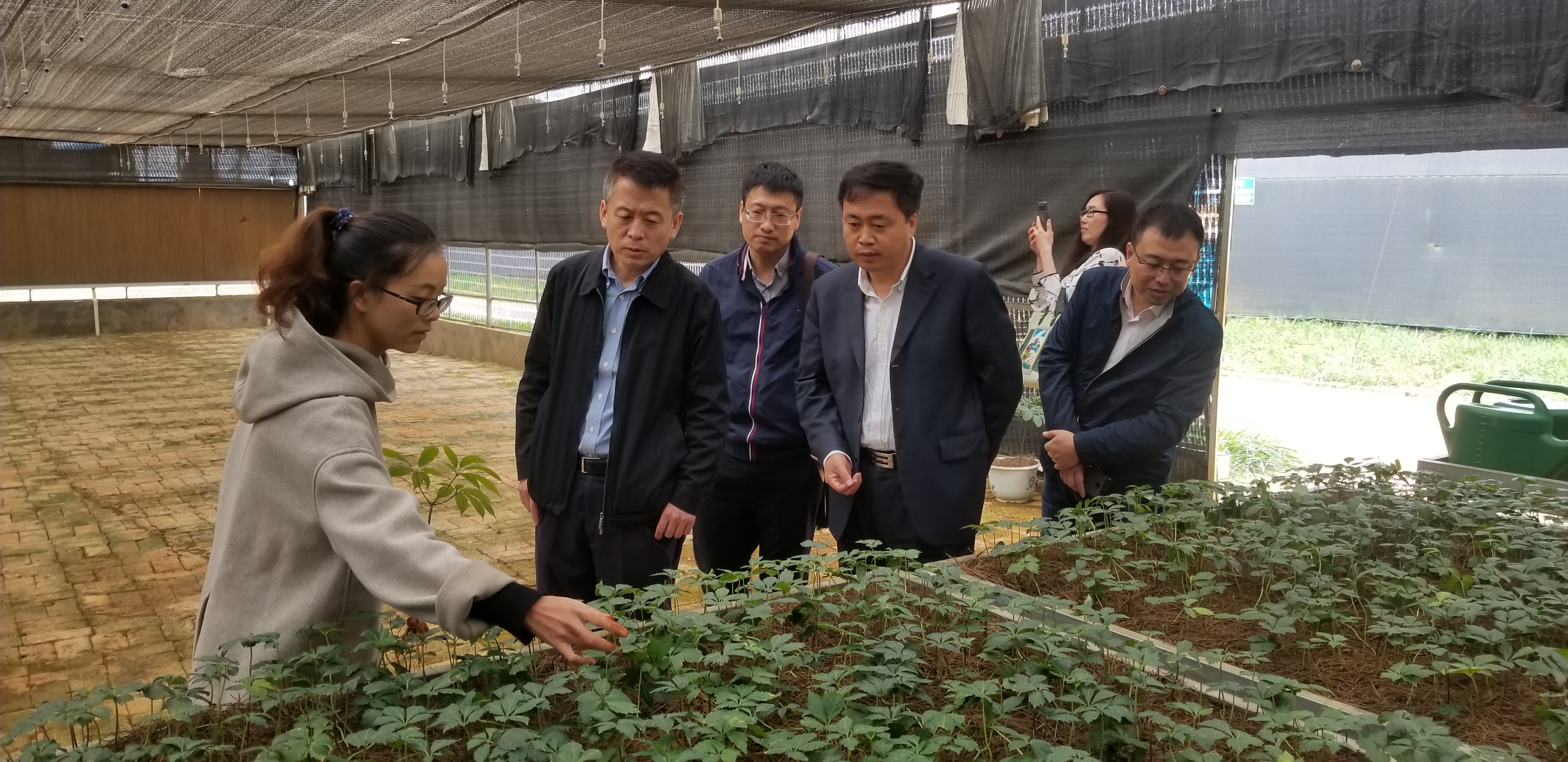 尊龙凯时【首页官网】人生就是博!