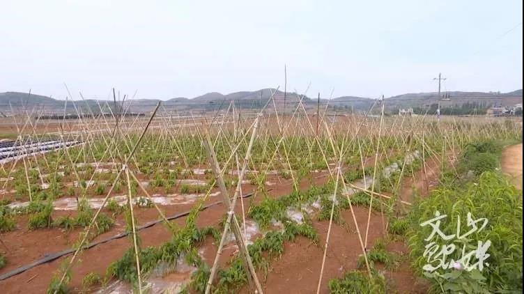 尊龙凯时【首页官网】人生就是博!