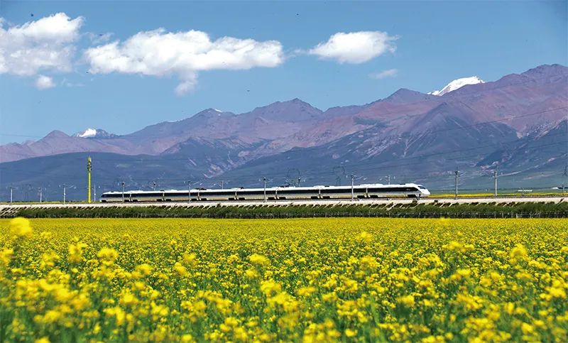 张玉卓、、国资、、央企、、国资委、、书记、、主任、、国企、、企业刷新