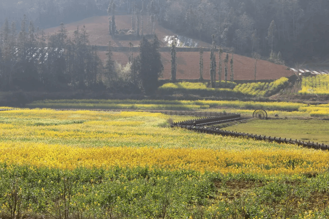 尊龙凯时【首页官网】人生就是博!